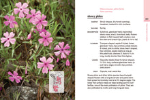 Load image into Gallery viewer, Front Cover