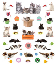 Load image into Gallery viewer, Front Cover