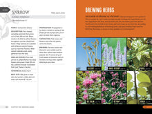 Load image into Gallery viewer, Front Cover