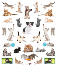 Load image into Gallery viewer, Front Cover