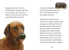 Load image into Gallery viewer, Front Cover