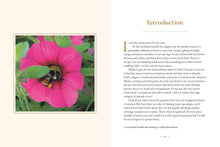 Load image into Gallery viewer, Front Cover