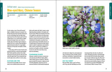 Load image into Gallery viewer, Front Cover