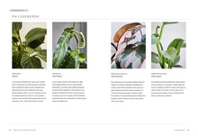 Load image into Gallery viewer, Front Cover