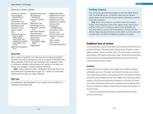Load image into Gallery viewer, Front Cover