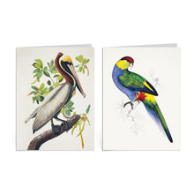 Load image into Gallery viewer, Front Cover