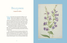 Load image into Gallery viewer, Front Cover