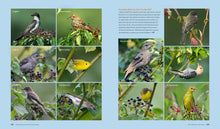 Load image into Gallery viewer, Front Cover