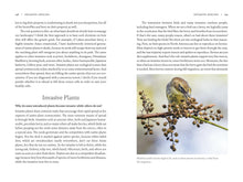 Load image into Gallery viewer, Front Cover