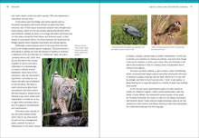 Load image into Gallery viewer, Front Cover