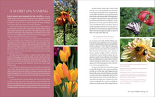 Load image into Gallery viewer, Front Cover