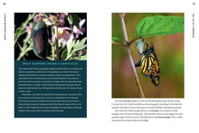 Load image into Gallery viewer, Front Cover