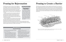 Load image into Gallery viewer, Front Cover