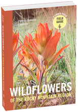 Load image into Gallery viewer, Front Cover