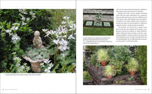 Load image into Gallery viewer, Front Cover