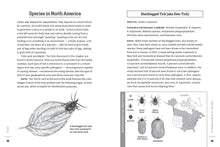 Load image into Gallery viewer, Front Cover