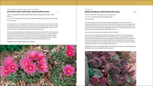 Load image into Gallery viewer, Front Cover