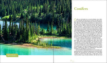 Load image into Gallery viewer, Front Cover