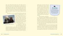 Load image into Gallery viewer, Front Cover