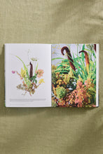 Load image into Gallery viewer, Front Cover