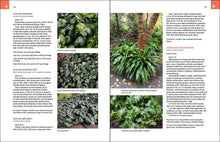 Load image into Gallery viewer, Front Cover