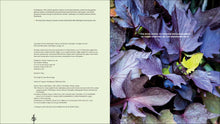 Load image into Gallery viewer, Front Cover