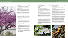 Load image into Gallery viewer, Front Cover