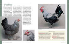 Load image into Gallery viewer, Front Cover