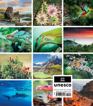 Load image into Gallery viewer, Front Cover