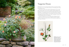 Load image into Gallery viewer, Front Cover