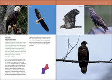Load image into Gallery viewer, Front Cover