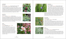 Load image into Gallery viewer, Front Cover