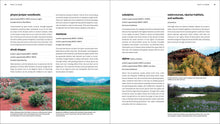 Load image into Gallery viewer, Front Cover