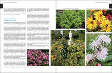 Load image into Gallery viewer, Front Cover