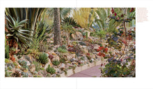 Load image into Gallery viewer, Front Cover