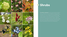 Load image into Gallery viewer, Front Cover