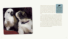 Load image into Gallery viewer, Front Cover
