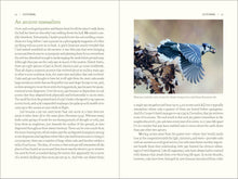 Load image into Gallery viewer, Front Cover