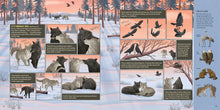 Load image into Gallery viewer, Front Cover
