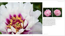 Load image into Gallery viewer, Front Cover