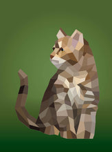 Load image into Gallery viewer, Front Cover