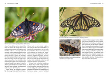 Load image into Gallery viewer, Front Cover