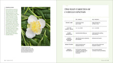 Load image into Gallery viewer, Front Cover