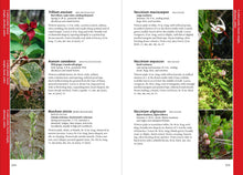 Load image into Gallery viewer, Front Cover