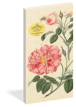 Load image into Gallery viewer, Front Cover