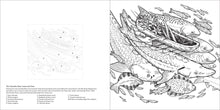 Load image into Gallery viewer, Front Cover