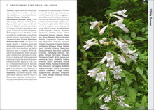 Load image into Gallery viewer, Front Cover