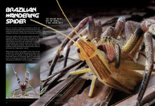 Load image into Gallery viewer, Front Cover