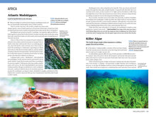 Load image into Gallery viewer, Front Cover