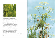 Load image into Gallery viewer, Front Cover